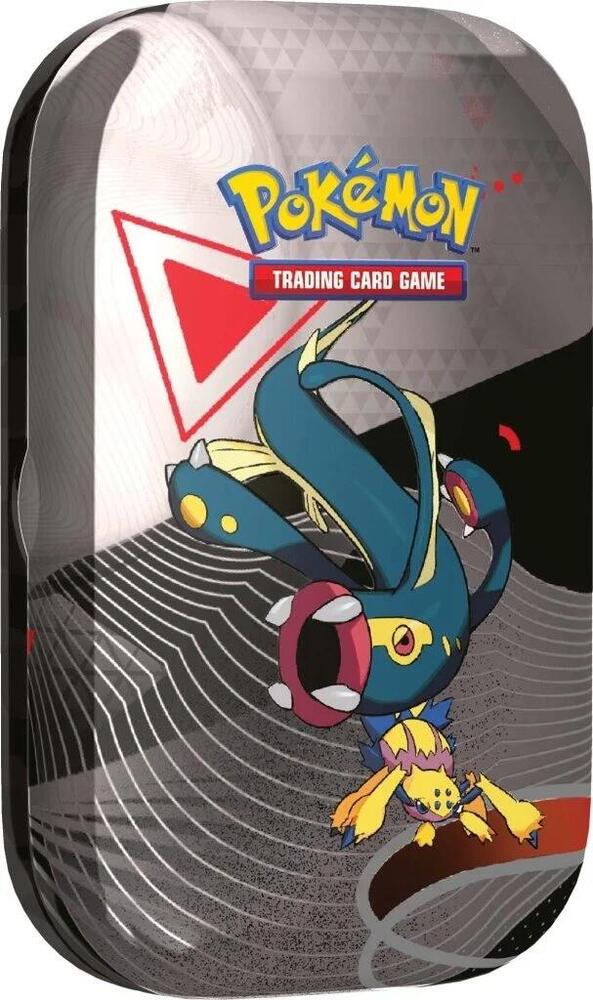Pokemon Black Bolt & White Flare Mini Tins