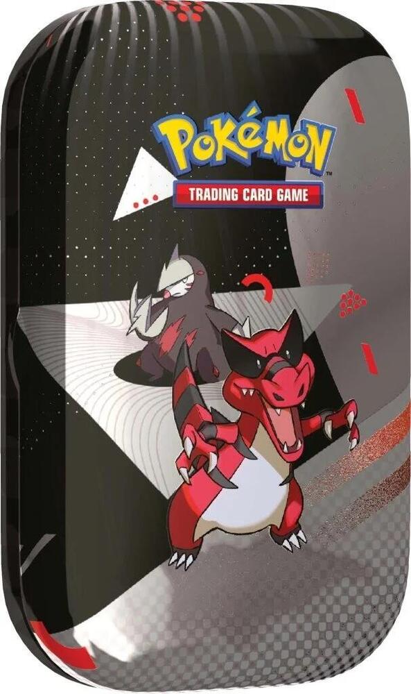 Pokemon Black Bolt & White Flare Mini Tins