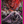 One Piece Official Card Sleeve TCG+ Store Edition Vol.4