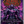 Flesh and Blood - Usurp the Shadow Throne - Booster Case