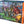Magic the Gathering - Teenage Mutant Ninja Turtles - Bundle