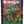 Magic the Gathering - Teenage Mutant Ninja Turtles - Pizza Bundle