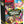 Pokemon Perfect Order Booster Bundle