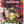Pokemon Perfect Order Booster Bundle