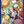 One Piece Official Card Sleeve TCG+ Store Edition Vol.3